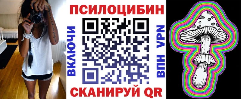 Псилоцибиновые грибы MAGIC MUSHROOMS  кракен ССЫЛКА  Кизилюрт 